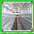 Chick baby cage für Geflügelfarm